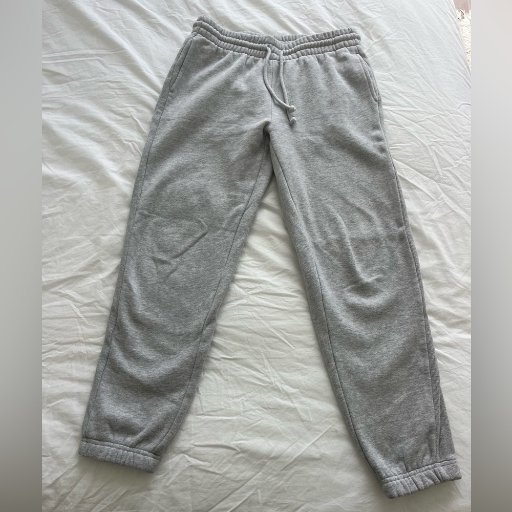 Aritiza Gray Joggers